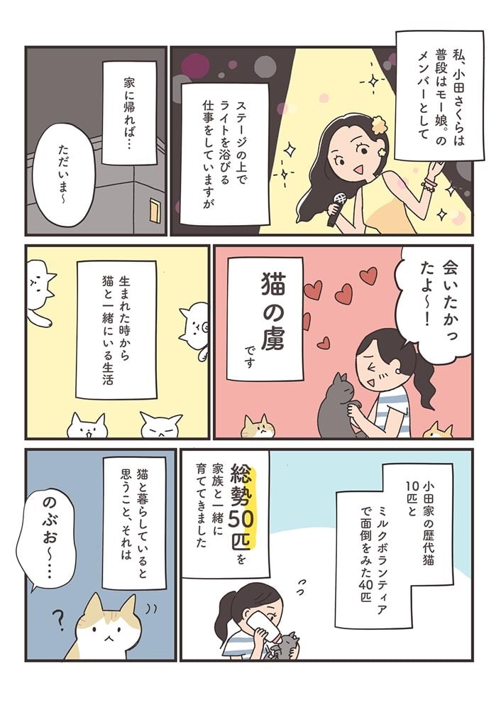 さくらと猫