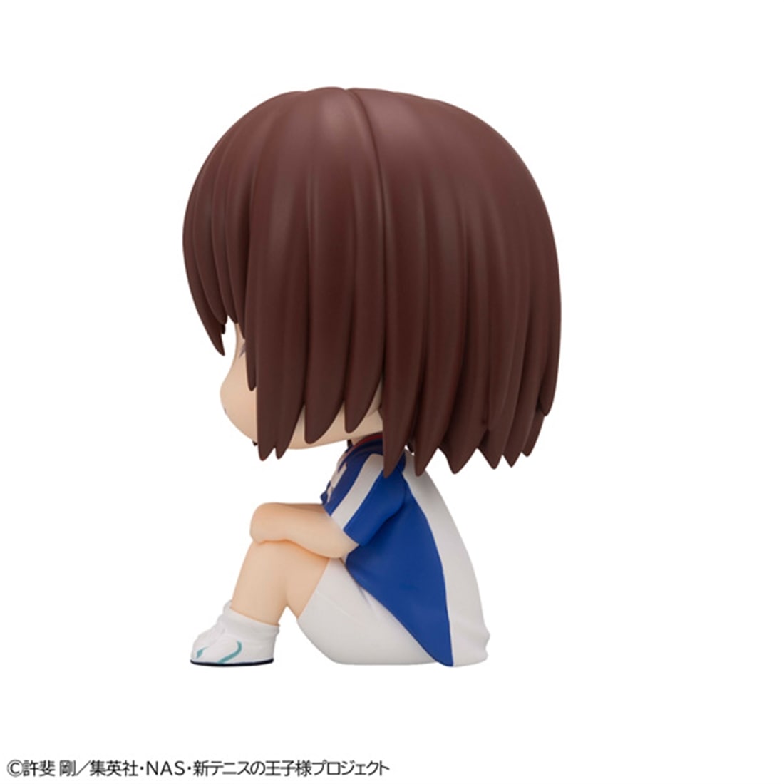 新テニスの王子様 るかっぷ 不二周助