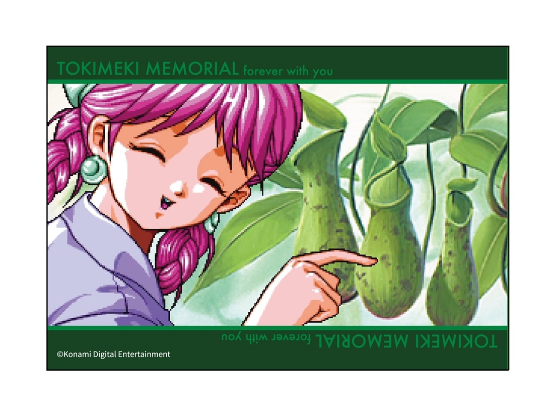 ときめきメモリアル　クリアブロマイド　オリジナルグラフィック　セット セット