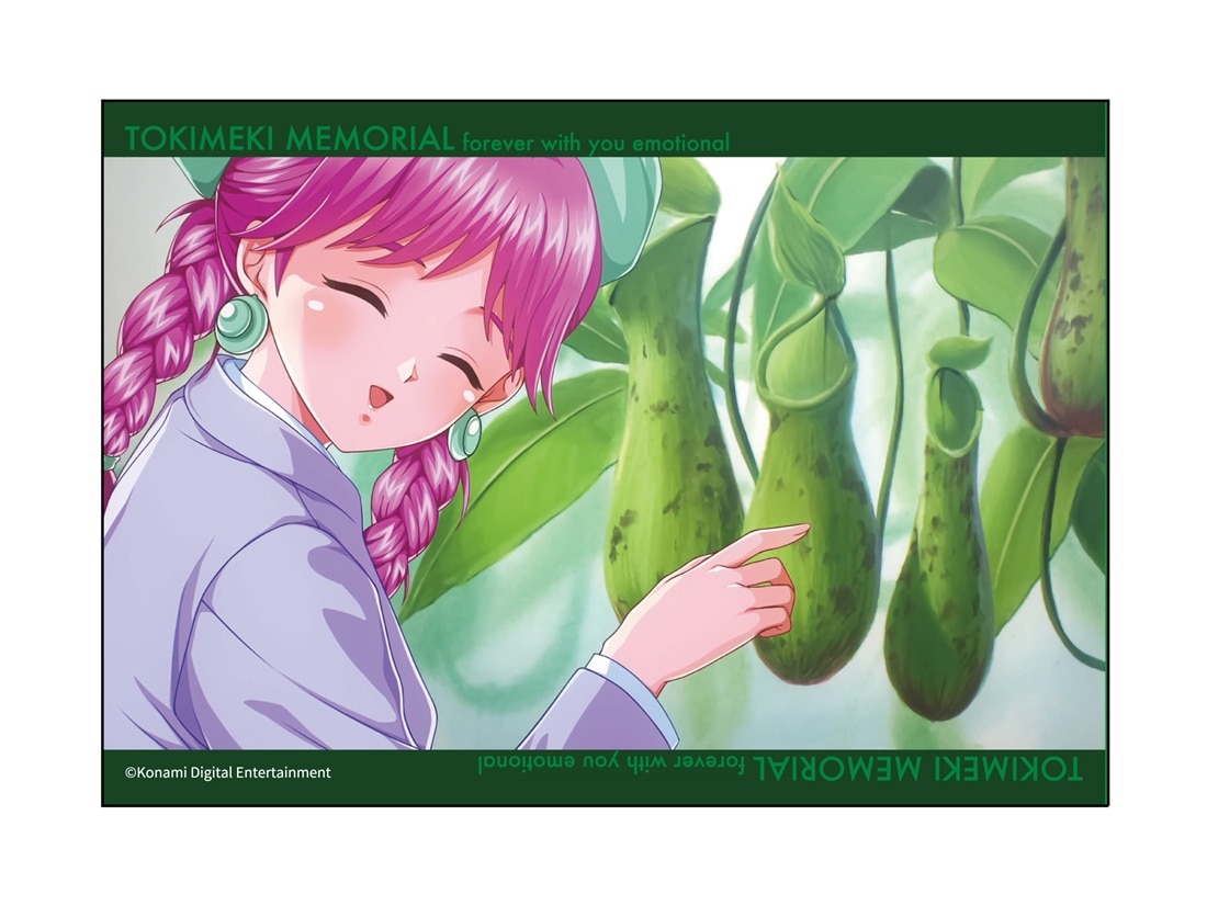 ときめきメモリアル　クリアブロマイド　新グラフィック　セット セット