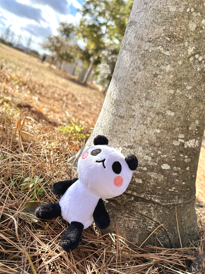 「つなまよざ」つなこパンダぬいぐるみ2号（ボールチェーン）