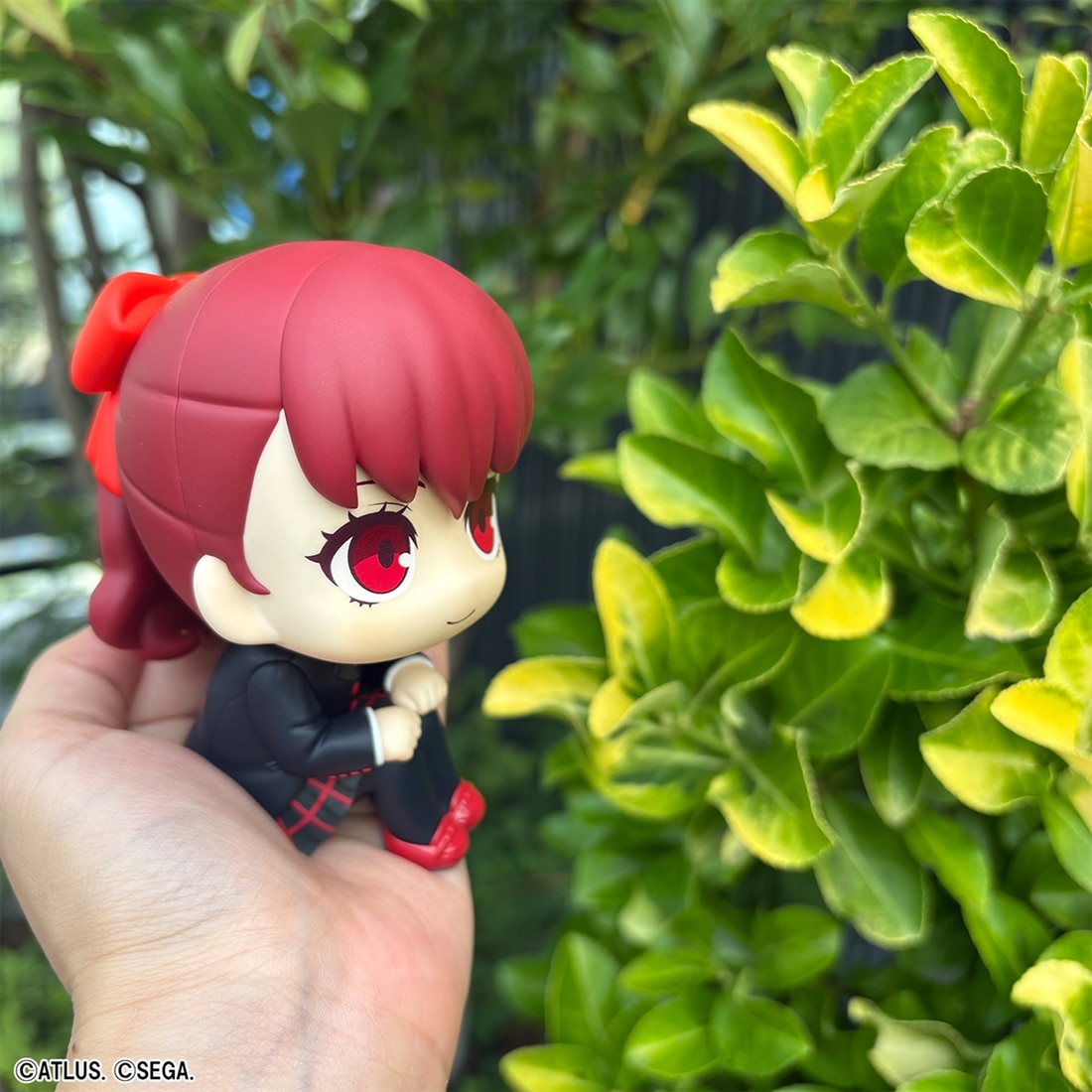 るかっぷ ペルソナ5 ザ・ロイヤル 芳澤かすみ（アトラスDショップ限定特典付き） 芳澤かすみ(アトラスDショップ限定特典付き）