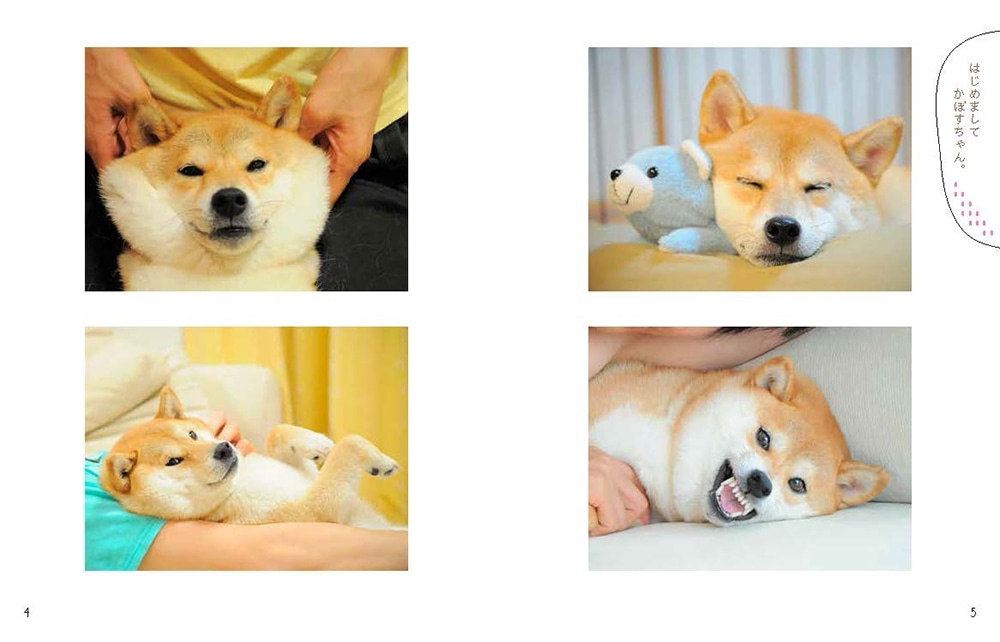 【数量限定】ぬいぐるみキーホルダー＆ポストカード付き「かぼすちゃんと、ずうっとおさんぽ。」バッグ（ブラック）＆写真集