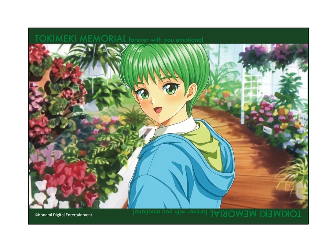 ときめきメモリアル　クリアブロマイド(ランダム)　新グラフィック ランダム