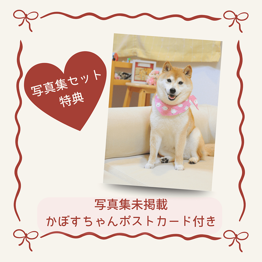 【数量限定】ぬいぐるみキーホルダー＆ポストカード付き「かぼすちゃんと、ずうっとおさんぽ。」バッグ（ブラック）＆写真集