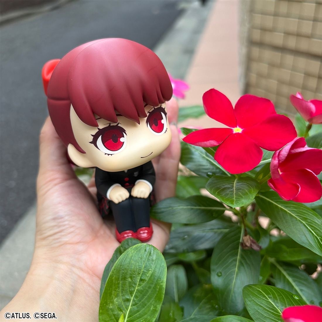 るかっぷ ペルソナ5 ザ・ロイヤル 芳澤かすみ（アトラスDショップ限定特典付き） 芳澤かすみ(アトラスDショップ限定特典付き）