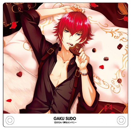 夢色キャスト 公式ファンブック2 ebtenDXパック【愛し君へ】朱道 岳セット 朱道 岳 ※4月中旬出荷分