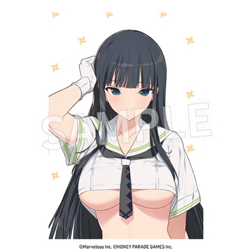 閃乱カグラ　枕カバー 斑鳩 ver. 斑鳩 ver.