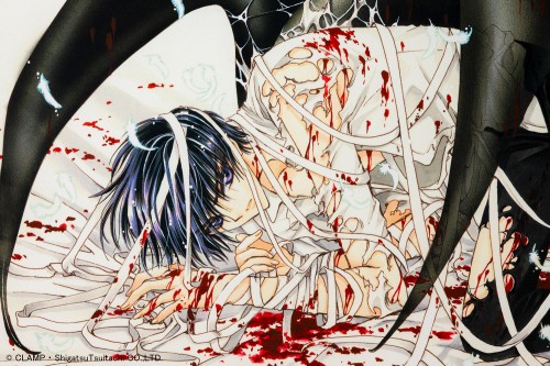 X Fine art Reproduction(Kamui Shiro ver.) Kamui Shiro ver.