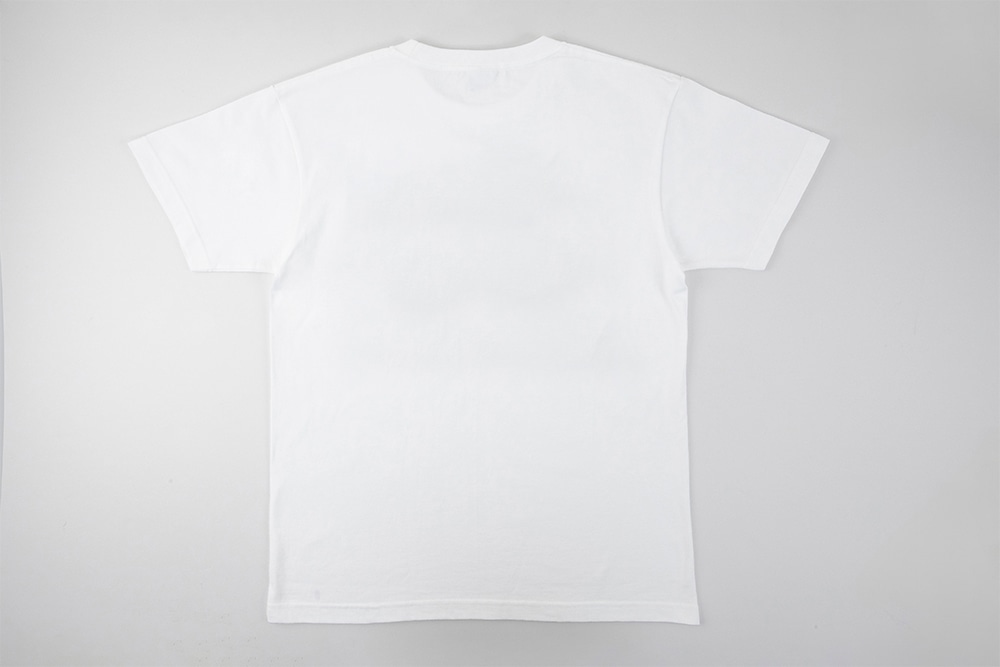 【2点セット】おおのたろう　じんせいさいしょのあいうえお　かるた　＆　こどもTシャツ　＜あ～の＞1枚　110cm