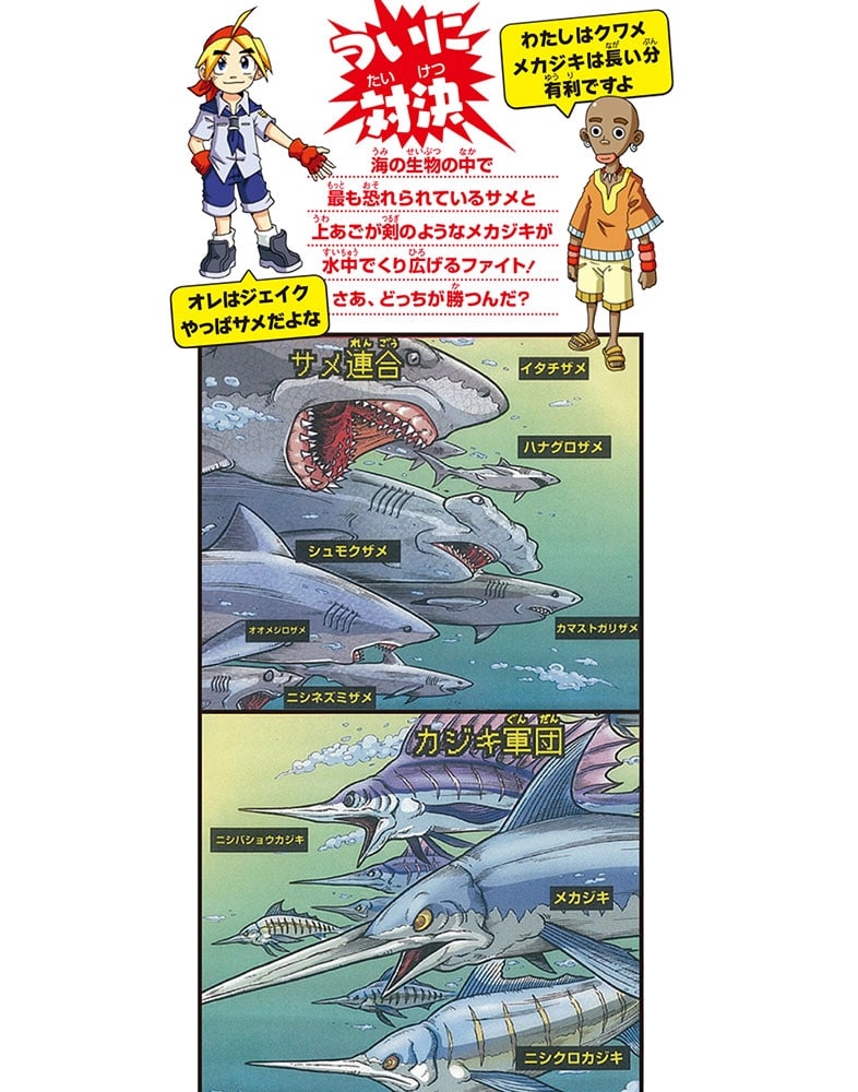 どっちが強い!? サメｖｓメカジキ 海の頂上決戦