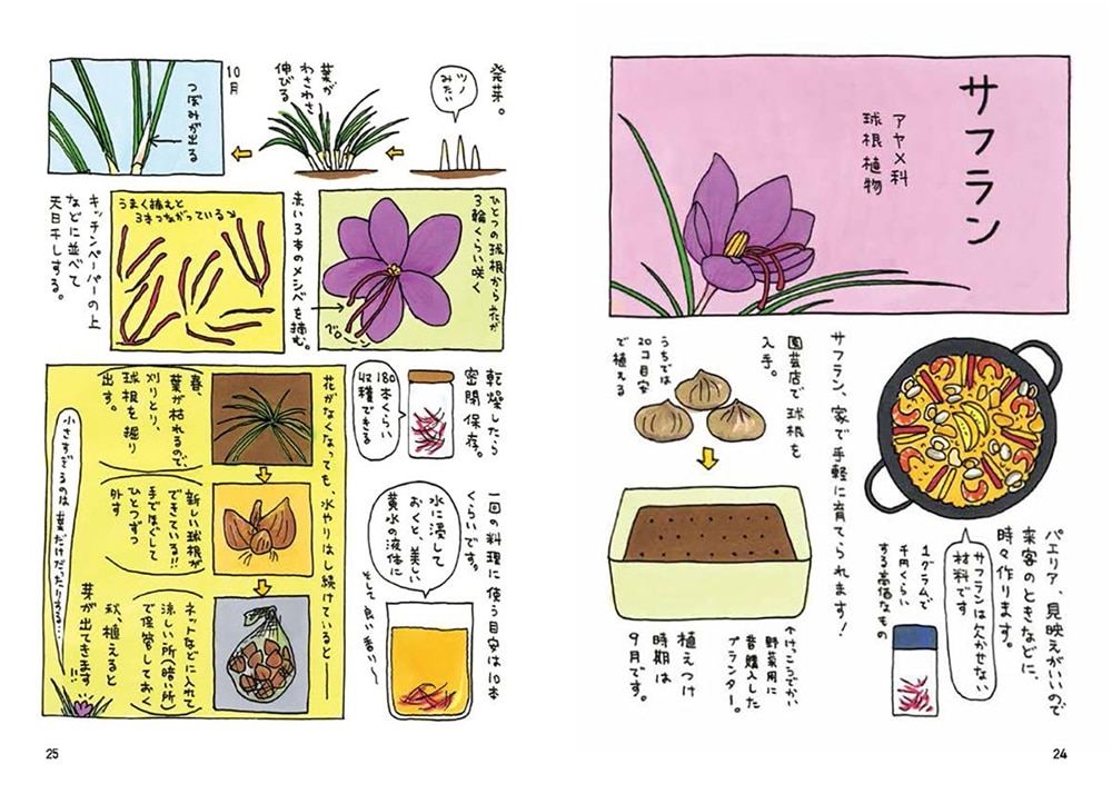 うちの香草 育てる 食べる 薬味とハーブ18種