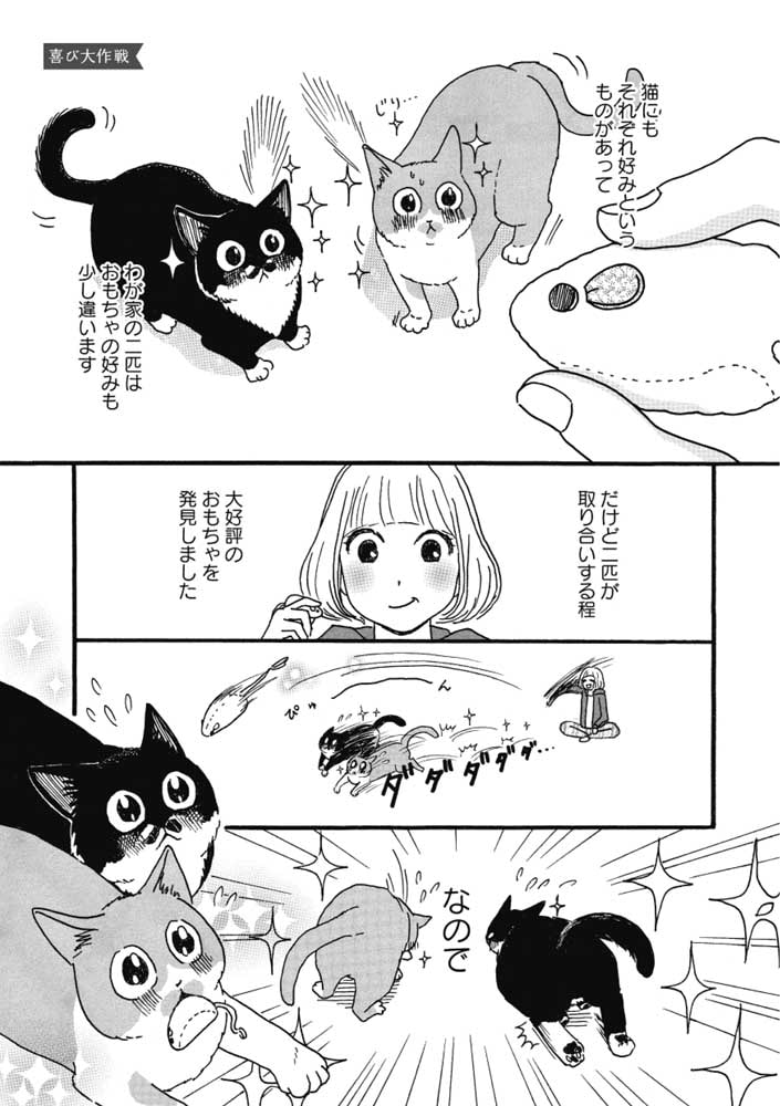 猫のきもちがわからない