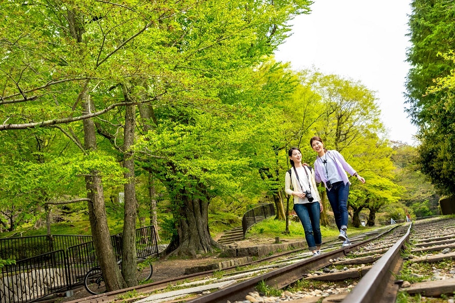 涼しい！緑の絶景ハイキング ウォーカームック