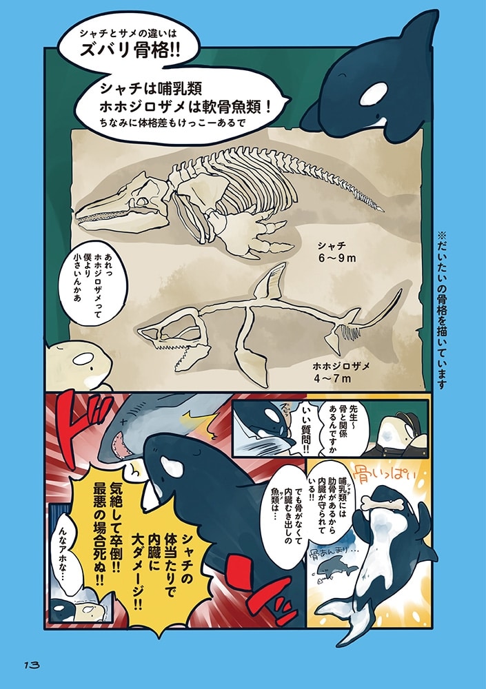 海のどうぶつが可愛すぎて！