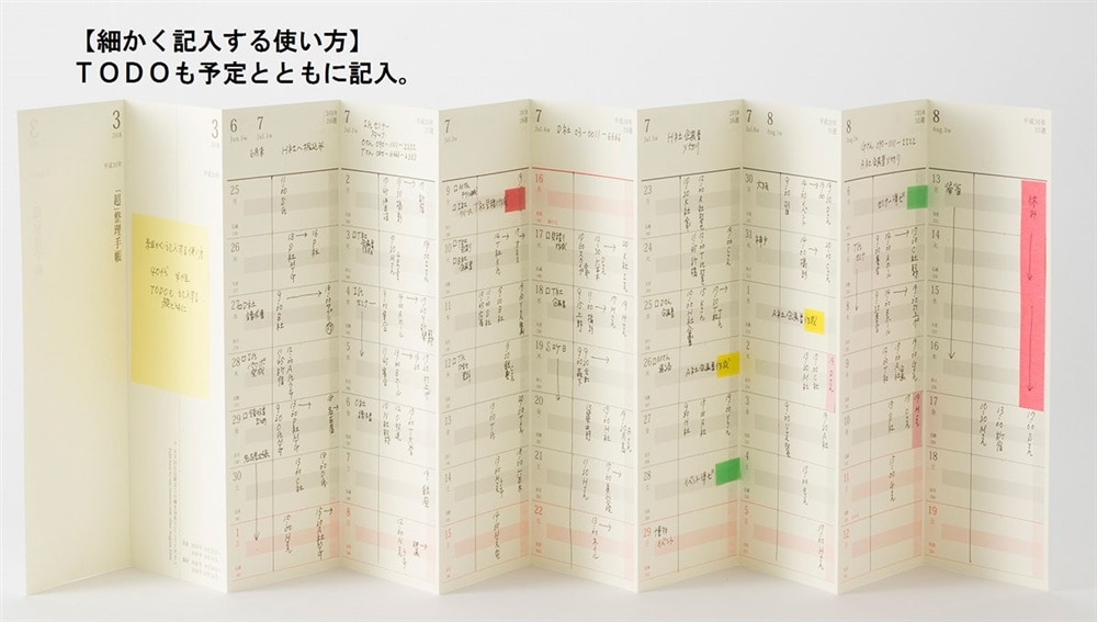 「超」整理手帳　スケジュール・シート　スタンダード2020