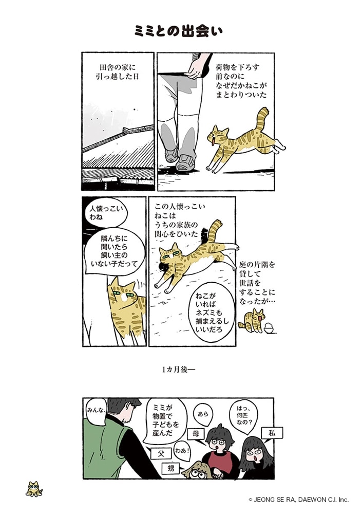 ねこ８匹分の幸せと暮らしています。