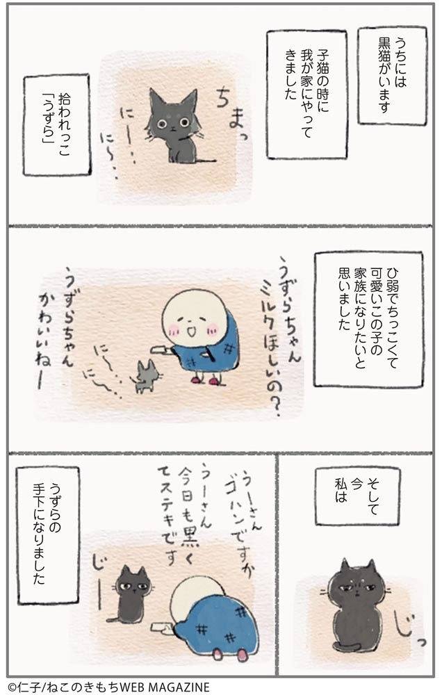 ねこ連れ草 うずらとかんたろう徒然ニャッ記