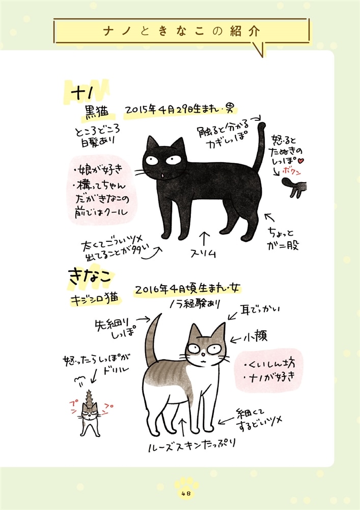 黒猫ナノとキジシロ猫きなこ