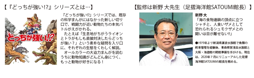 どっちが強い!? シャチvsシュモクザメ 恐怖！海の殺し屋対決