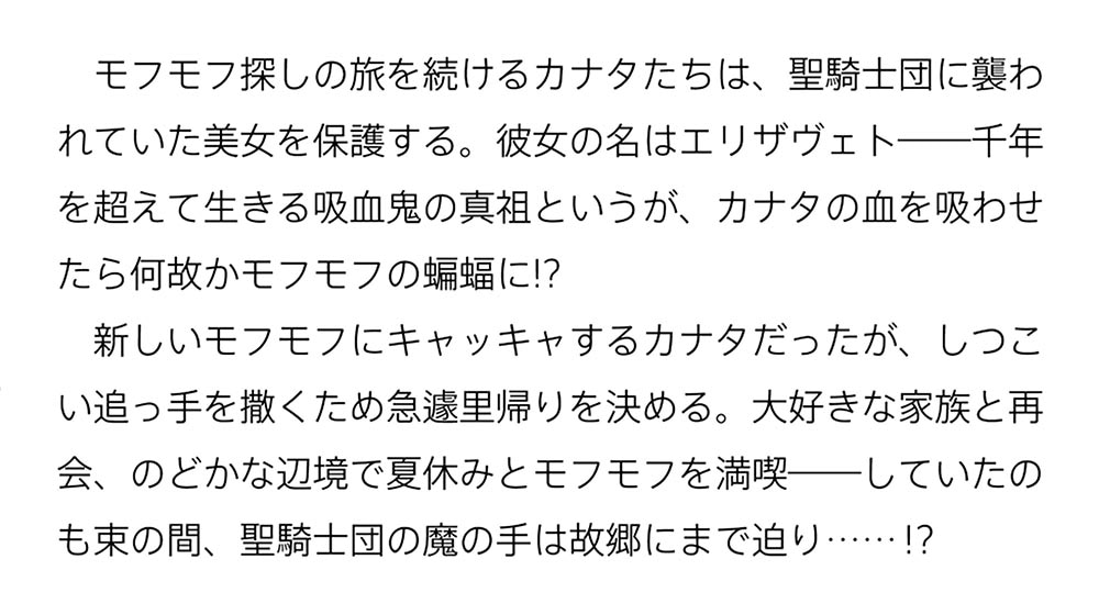 聖女さま？　いいえ、通りすがりの魔物使いです！ ３ ～絶対無敵の聖女はモフモフと旅をする～