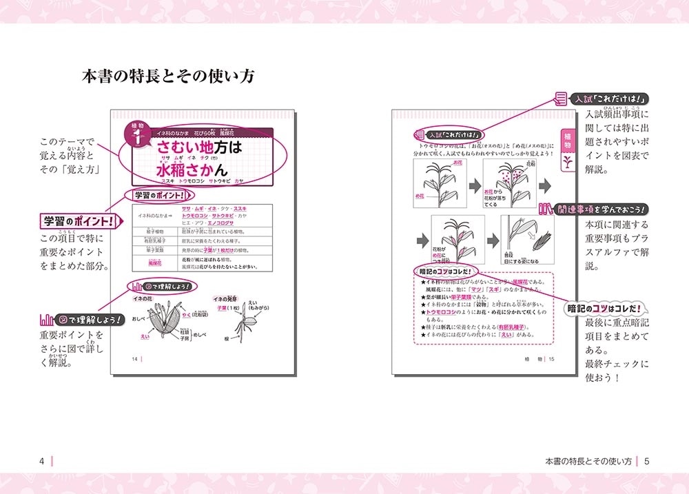 改訂版　中学受験　ここで差がつく！　ゴロ合わせで覚える理科１００