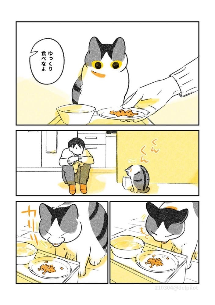 じじ猫くらし２