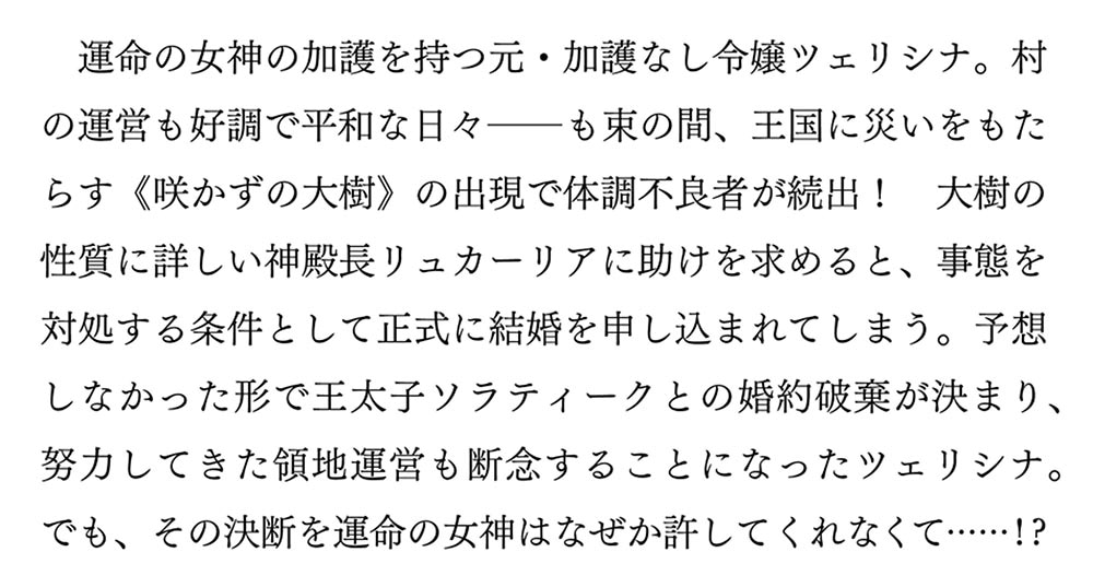 加護なし令嬢の小さな村　4 ～さあ、領地運営を始めましょう！～