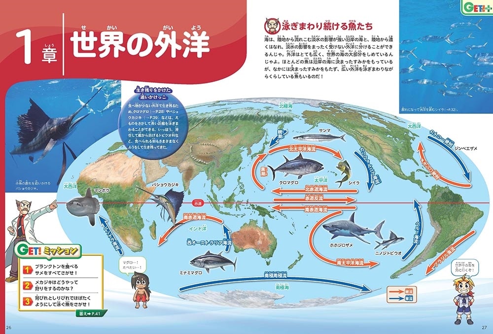 角川の集める図鑑ＧＥＴ！ 魚