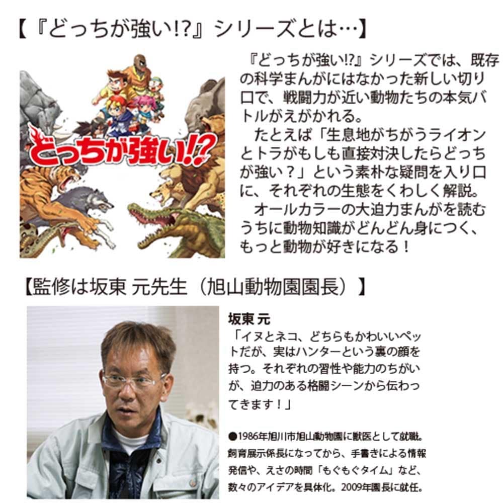 どっちが強い!? ピットブルvsオオヤマネコ 豪華客船でイヌネコ対決