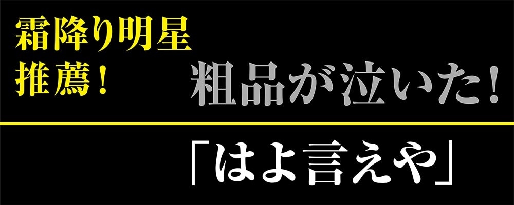 稼ぐメンタル ギャンブルで勝ち続ける「ブレない」心の作り方