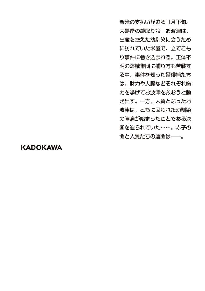 新・入り婿侍商い帖 お波津の婿（二）