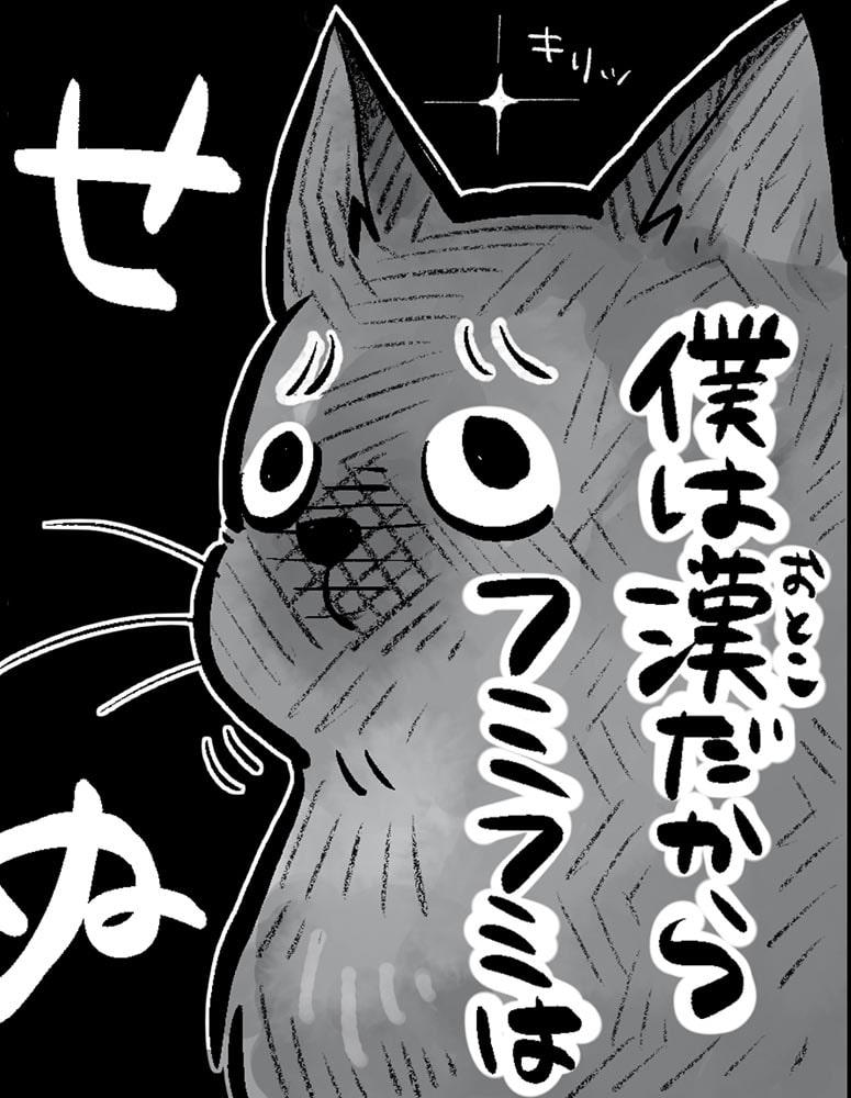 こねこのドレイ