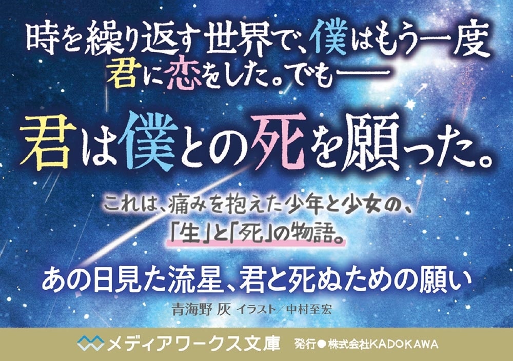 あの日見た流星、君と死ぬための願い