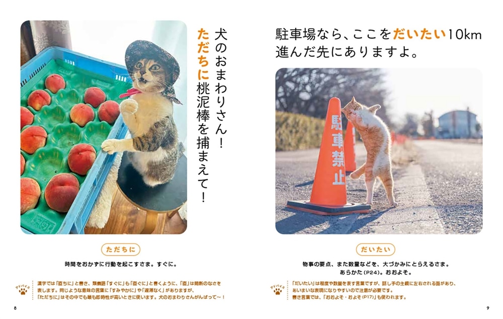 にゃるほど！ コミュ力UP語彙辞典