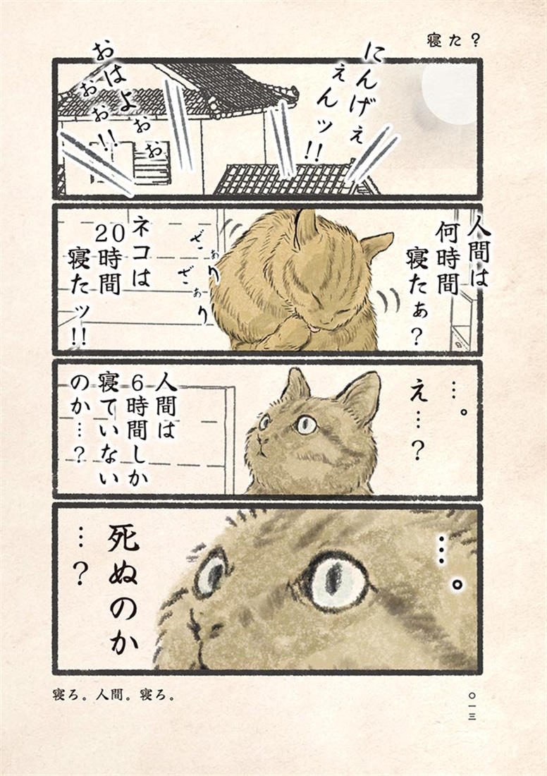 今日もネコ様の圧が強い