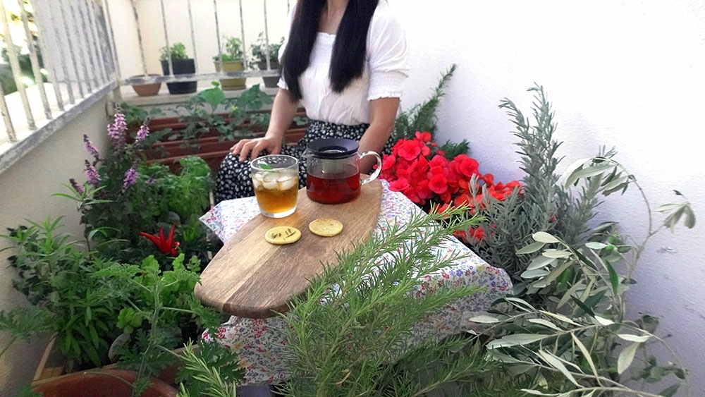 観葉植物は一生ものの金運を呼ぶ