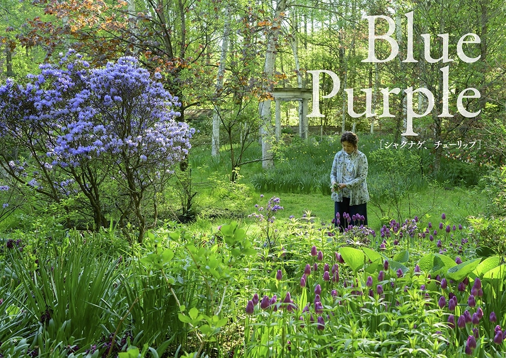 庭に美しいハーモニーを奏でよう ケイ山田のガーデンパレット