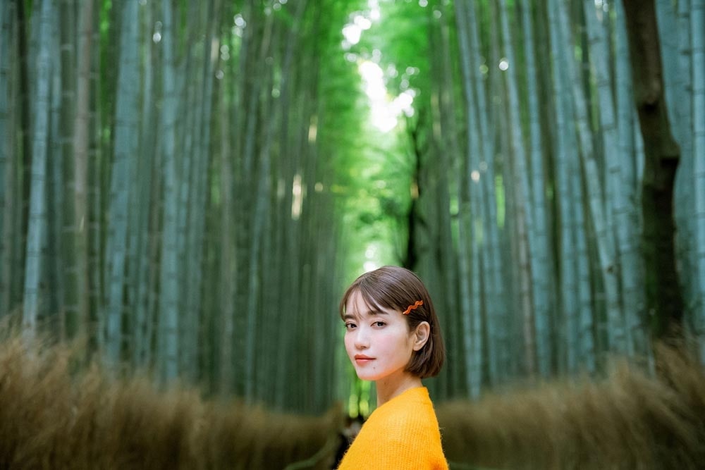 色彩の京都 絶景と味めぐり