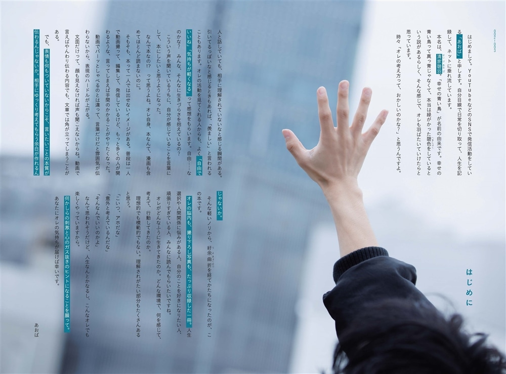 青二才のまま生きていくことにした