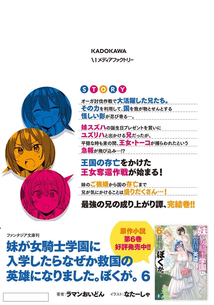 妹が女騎士学園に入学したらなぜか救国の英雄になりました。ぼくが。3