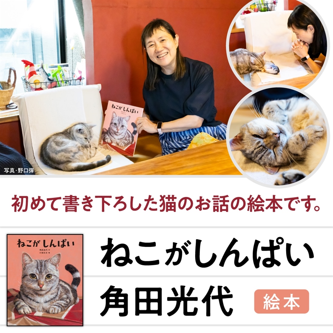 ねこがしんぱい