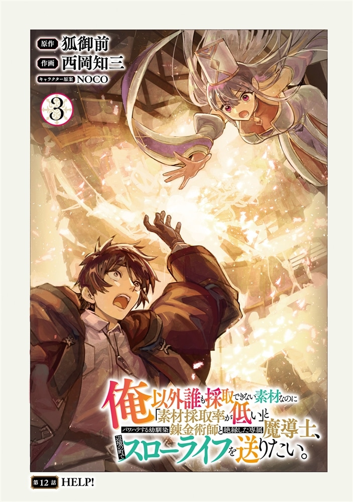 俺以外誰も採取できない素材なのに「素材採取率が低い」とパワハラする幼馴染錬金術師と絶縁した専属魔導士、辺境の町でスローライフを送りたい。　3