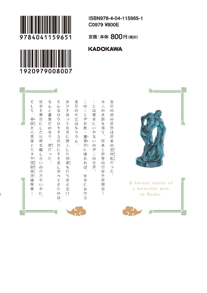 月華国奇医伝　第十三巻