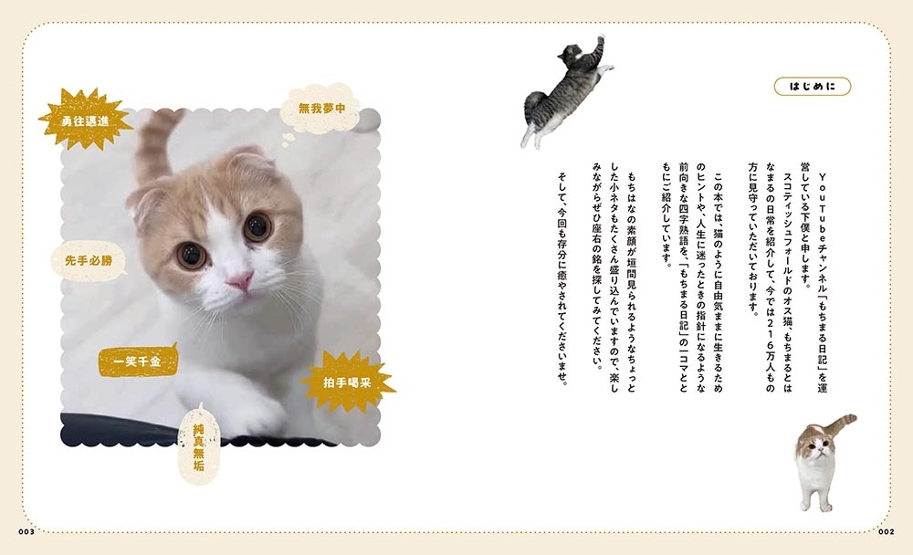 人生のヒントが見つかる　もちまる日記四字熟語