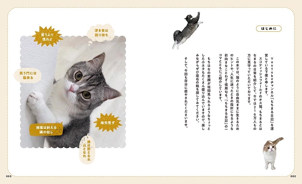 人生のヒントが見つかる　もちまる日記ことわざ・慣用句