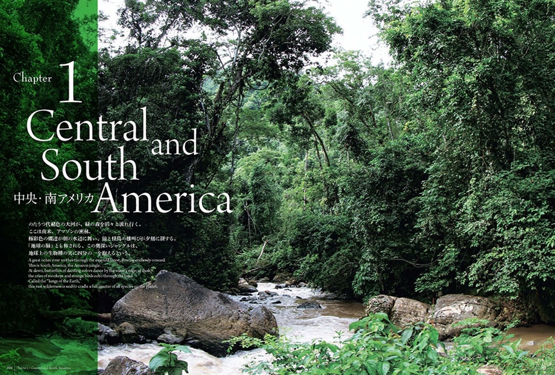 蟻客 アリと共に生きる虫たち