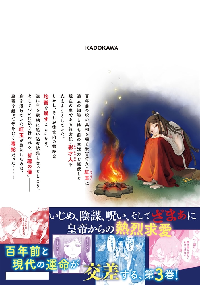 目が覚めると百年後の後宮でした 後宮侍女紅玉　3