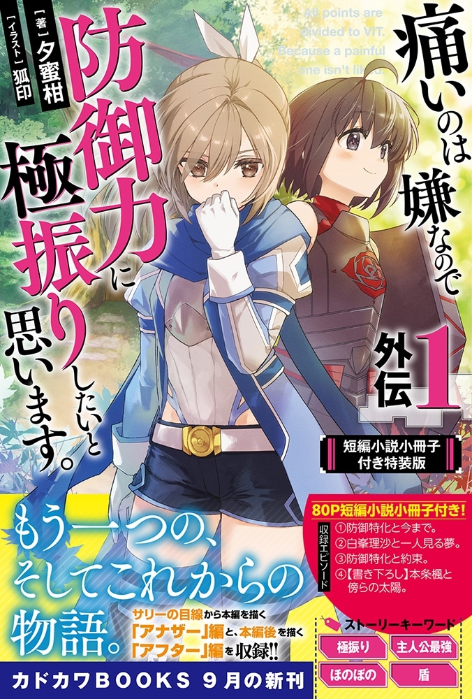 痛いのは嫌なので防御力に極振りしたいと思います。　外伝１　短編小説小冊子付き特装版