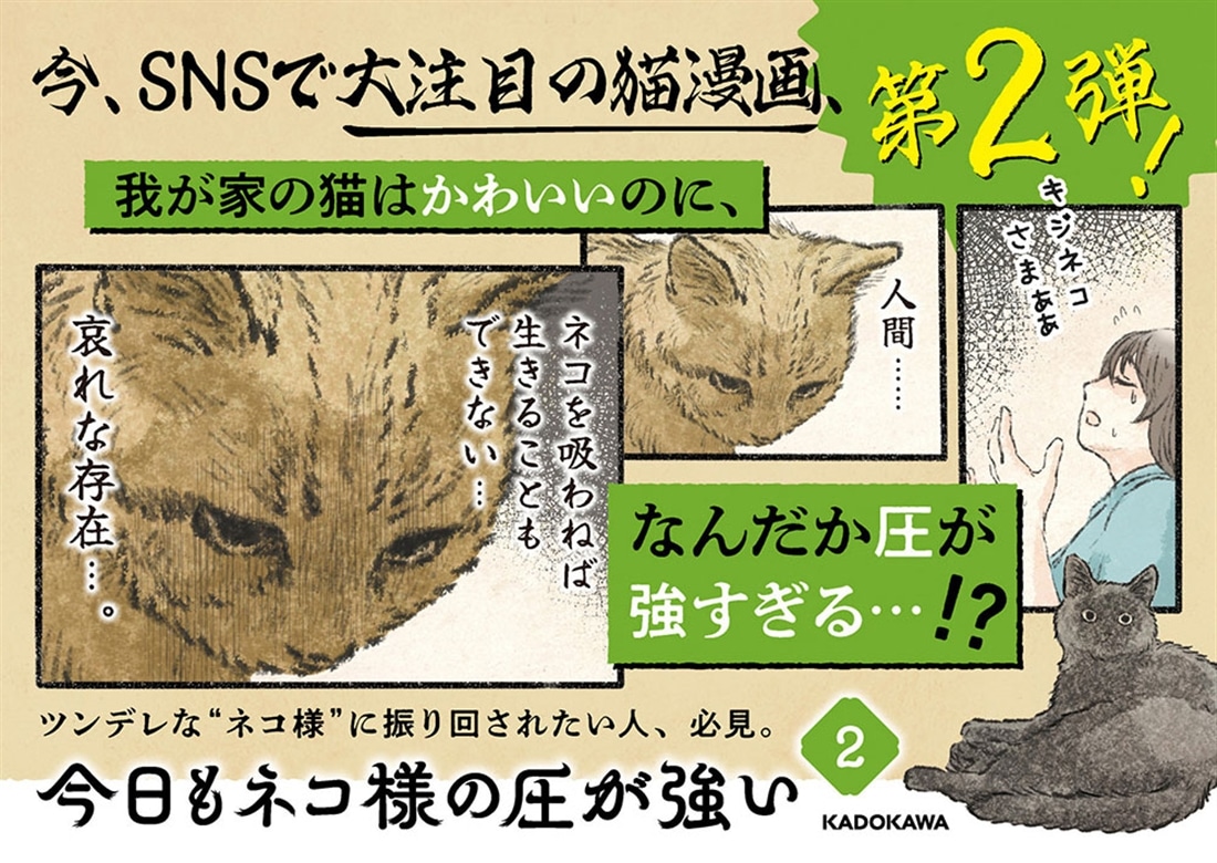 今日もネコ様の圧が強い２